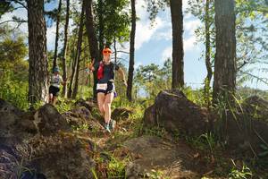 BIB: 
                            <button type="button" onclick="openModal(18915464)" class="btn btn-primary btn-sm float-right btn-popup" data-toggle="modal" data-target=".modal-high-quality">
                        <i class="fas fa-shopping-cart"></i> Add to Cart
                    </button>
                                            <button type="button" onclick="isThisMe(18915464, true)" class="btn btn-success btn-sm float-right btn-popup btn-isme hidden" data-toggle="tooltip" data-placement="bottom" title="นี่คือรูปของคุณใช่ไหม คลิกที่นี่เพื่อเอาเข้าอัลบั้ม">
                        <i class="fas fa-plus"></i> Add to album
                    </button>
                    <button type="button" onclick="isThisMe(18915464, false)" class="btn btn-warning btn-sm float-right btn-popup btn-isnotme hidden">
                        <i class="fas fa-ban"></i> Remove from album
                    </button>